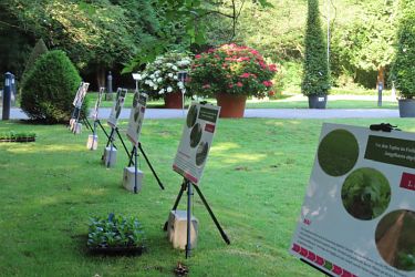 Fotorundgang 07 / 2025 Straelen