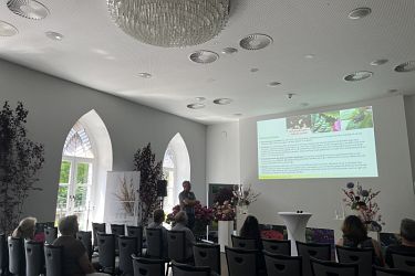 Fotorundgang 07 / 2025 Straelen