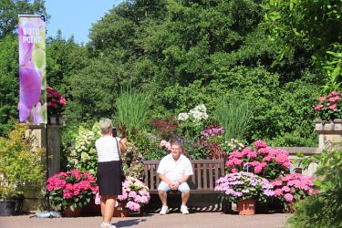 Fotorundgang 07 / 2025 Straelen