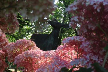 Fotorundgang 07 / 2025 Straelen