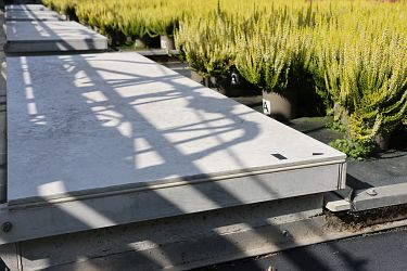 Fotorundgang 09 / 2025 Straelen