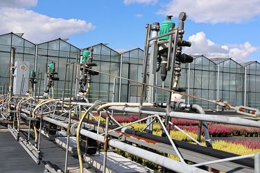 Fotorundgang 09 / 2025 Straelen