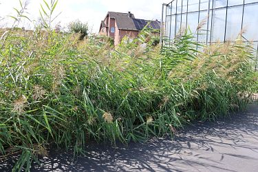 Fotorundgang 09 / 2025 Straelen