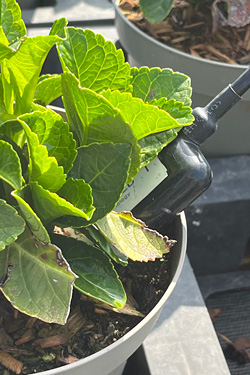 Sensorsystem Nursery Stock GSS