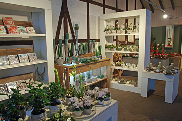 Verkaufsraum mit neuen Warenträgern