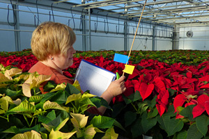 Versuche im Gartenbau