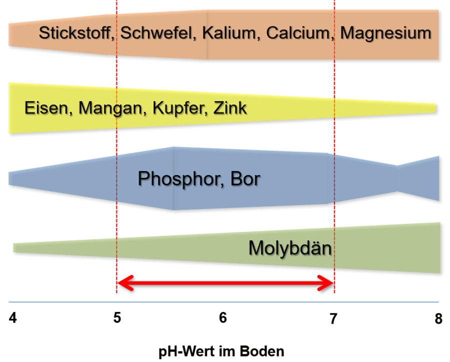 Nährstoffverfügbarkeit in Abhängigkeit vom pH-Wert