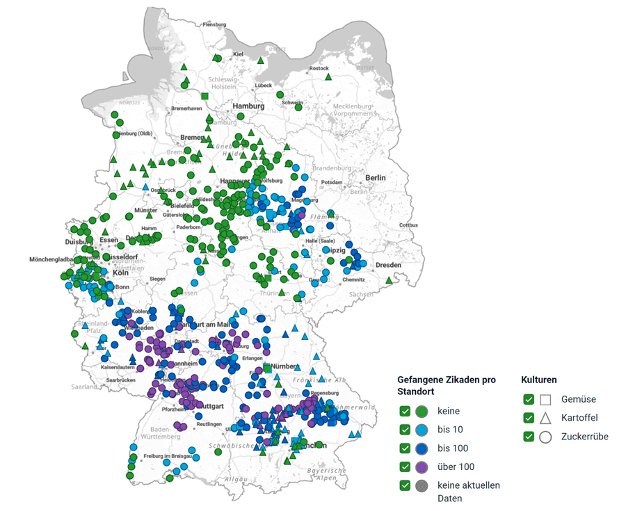 Abb. 15: Fangzahlen in Deutschland (Stand 24.07.2025)