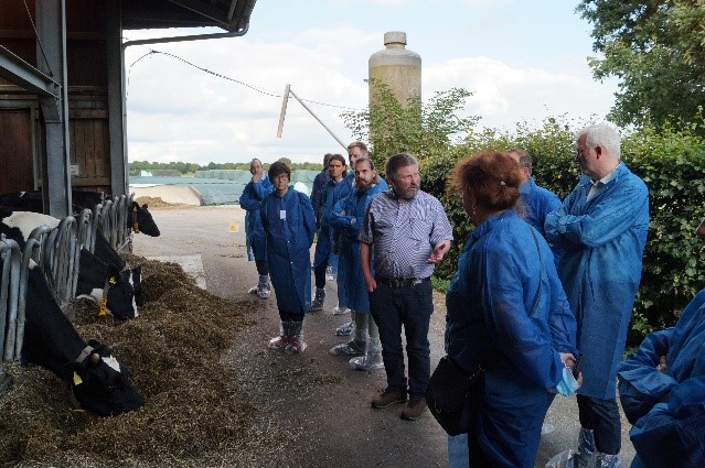 Gespräche auf dem Futtertisch