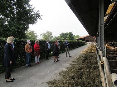 Gespräche auf dem Futtertisch