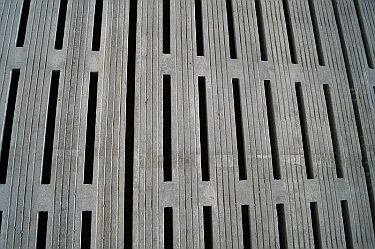 Stallabteil mit konventionellem Spaltenboden